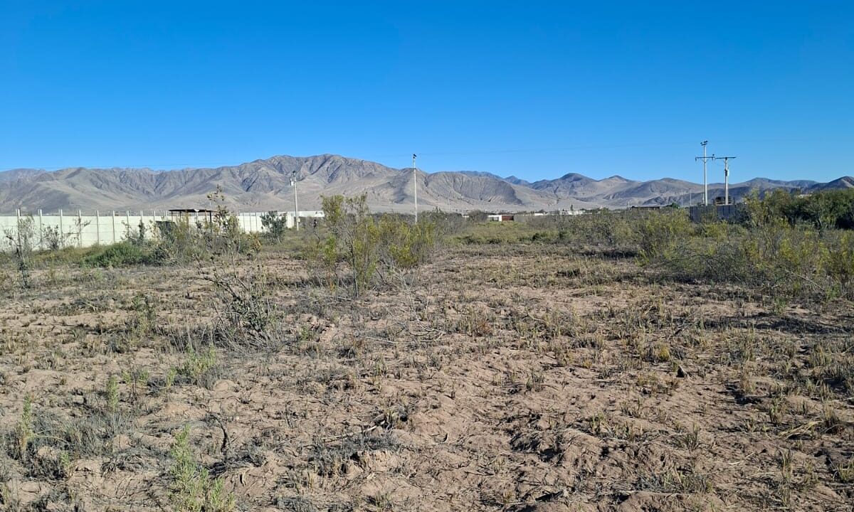 15d1b0a6-b87c-458f-b4df-a4824b4f7787