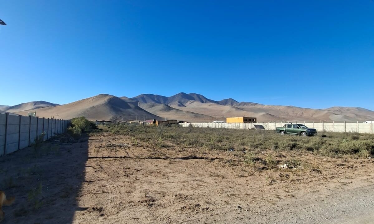 276f46d9-c1d6-4bbd-b5cf-50bc254f848a