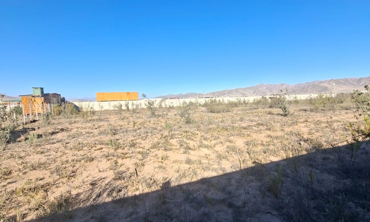 4dbb0f47-206a-4b03-b225-2ef5dcd96171