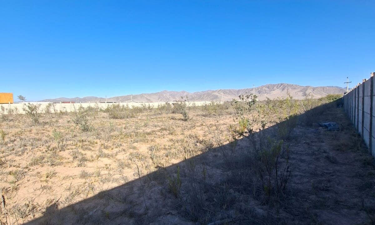 acc8b163-873e-454b-8576-a1c85989ee26