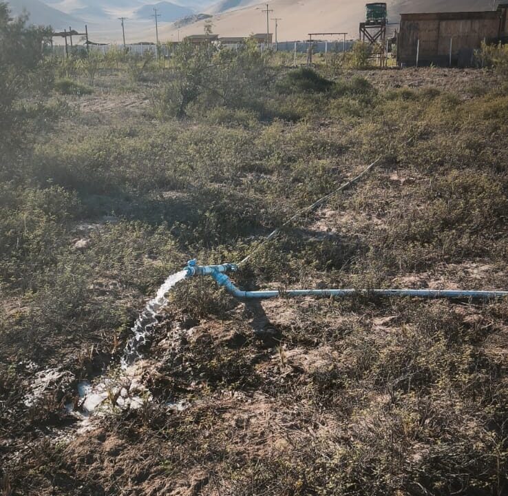 e3c09fbe-538d-4c08-a83a-e9b782e5f312